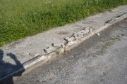 chodnik